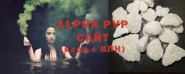 прущие грибы Липки