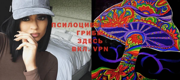 скорость Ладушкин