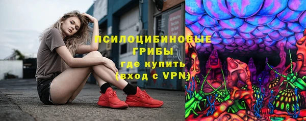 скорость Ладушкин