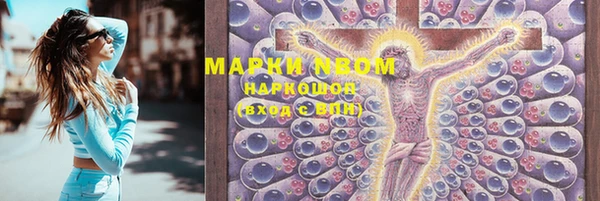 прущие грибы Липки