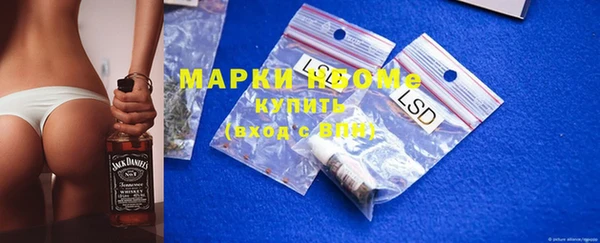 стафф Лабытнанги